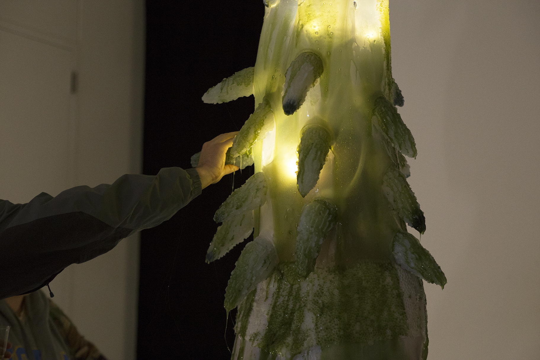 Detail of a gelatenous form covered in green slime with a mans hand squeezing it